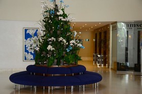 Regnum The Crown