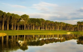 The Wind Sycamore Holiday Villas