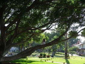Marvel Tree Hotel Bozyazi