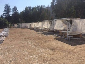 Princess Hotels Resort