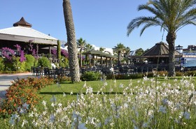 Emelda Sun Club
