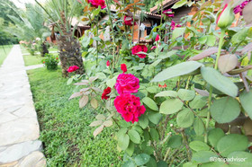 Canada Hotel & Bungalows