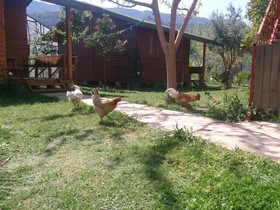 Sera Pansiyon