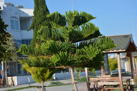 Hira Hotel