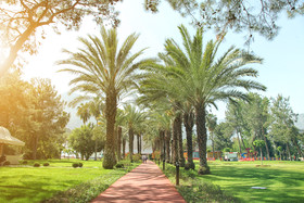 Queen's Park Göynük