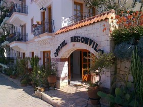Begonvil