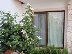 Kaputas Apart Hotel
