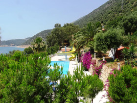 Kas Marin