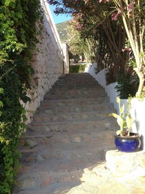 Lavender's Lodge Otel