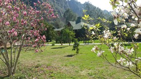 Arcadia Villas
