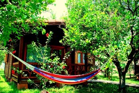 Baraka House