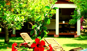 Baraka House