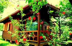 Baraka House