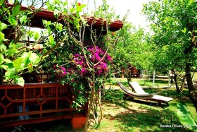 Baraka House