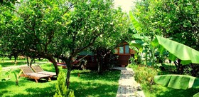 Baraka House