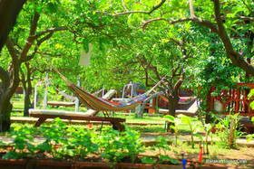 Baraka House