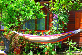 Baraka House