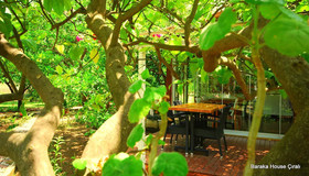 Baraka House