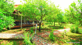 Baraka House