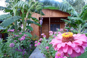 Estelar Bungalows