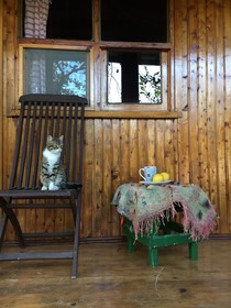 Kairos Bungalows