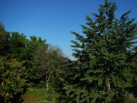 Kairos Bungalows