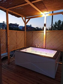 Lemon Tiny House