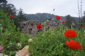 Oase Garden Hotel