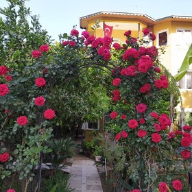 Santana Hotel