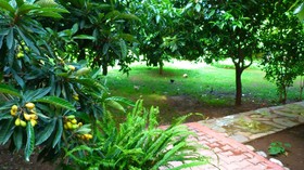 Simge Pension