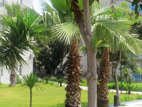 Rios Latte Beach Hotel