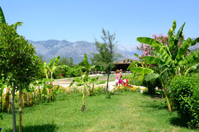 UK Hotels Kiris
