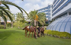 Starlight Resort Hotel