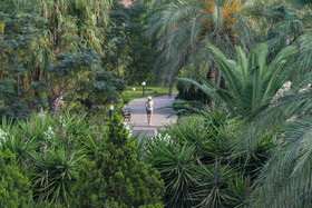 Sunrise Resort Hotel