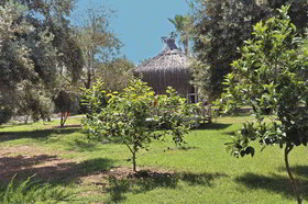 MC Mahberi Beach
