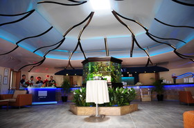 TUI BLUE Pasha Bay