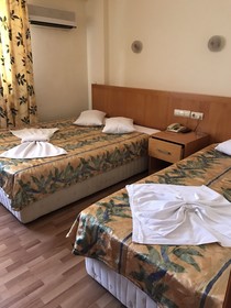 Orange Owl Hotel