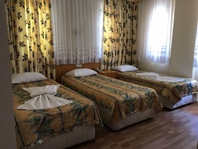 Orange Owl Hotel