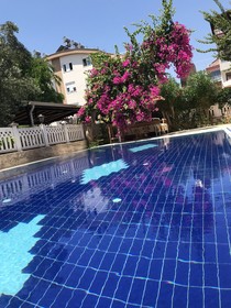 Orange Owl Hotel