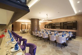 Sidemarin Kirman Premium
