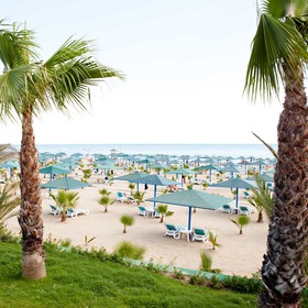 Paloma Oceana
