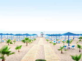 Paloma Oceana