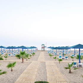 Paloma Oceana