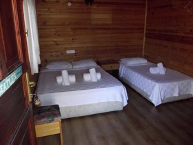 Koala Bungalows
