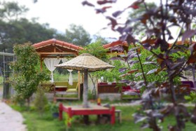 Koala Bungalows
