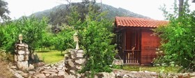 Koala Bungalows