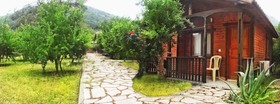 Koala Bungalows
