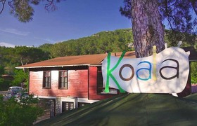 Koala Bungalows