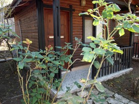 Koala Bungalows