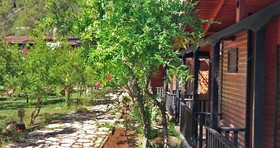 Koala Bungalows